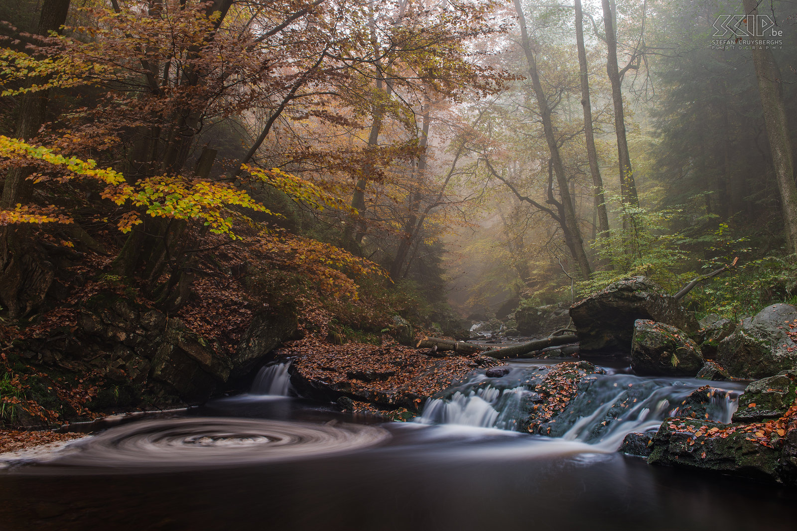 Herfst in de Oostkantons - Höegne Herfstfoto’s van de prachtige regio rondom Malmedy in de Belgische Ardennen. De watervalletjes van de Hoëgne in de buurt van het dorpje Hockai. De Hoëgne is een zijrivier van de Vesder en heeft een lengte van 30 kilometer.<br />
 Stefan Cruysberghs